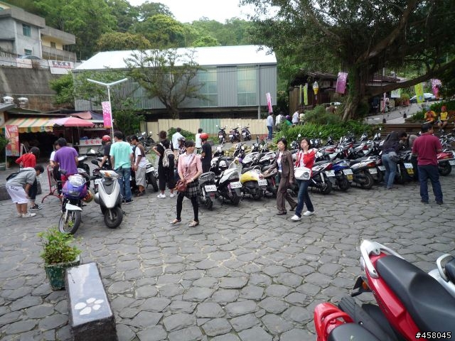 2009苗栗油桐花搶先報