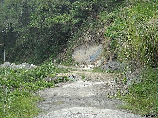 雲林草嶺~嘉義豐山 林道路線