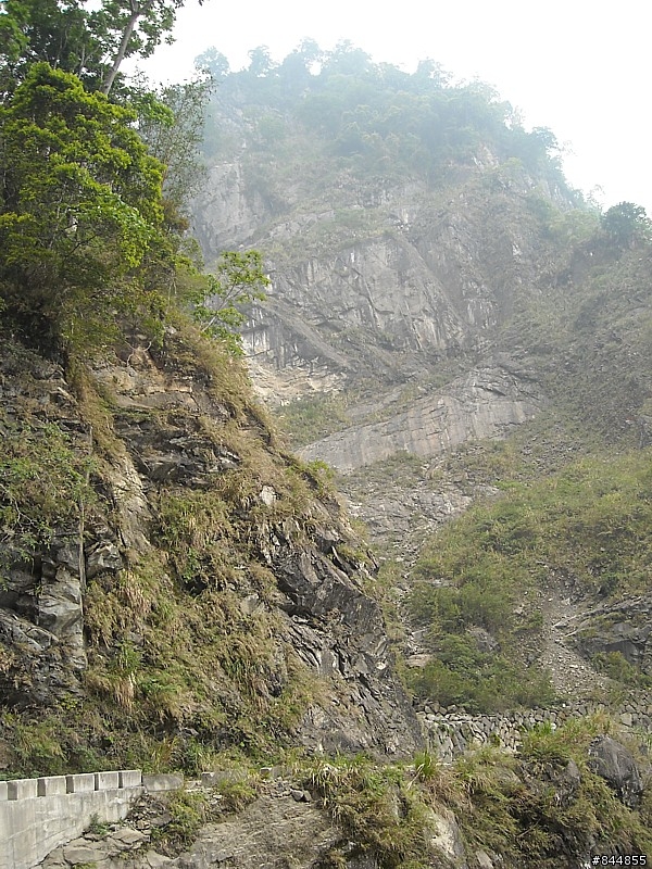 雲林草嶺~嘉義豐山 林道路線