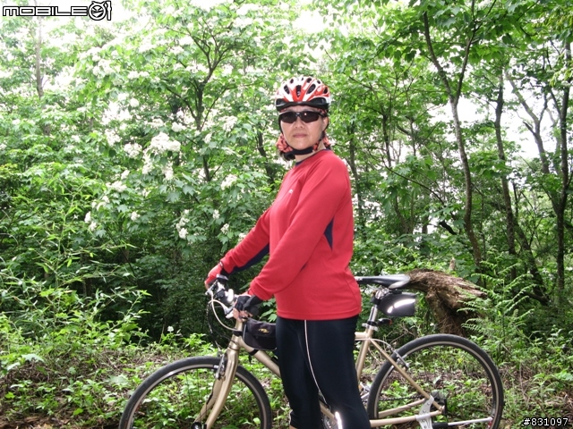桐花祭-銀保善存雙人組銅鑼賞花鐵馬行