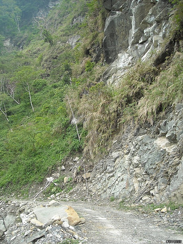 雲林草嶺~嘉義豐山 林道路線