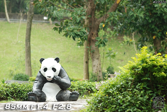 沒啥實質意義的Nikon AF 85mm f1.4以及f1.8 散景PK(85張圖)