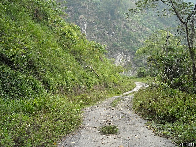 雲林草嶺~嘉義豐山 林道路線