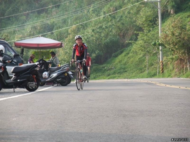 4/11臨時即興的136枇杷行