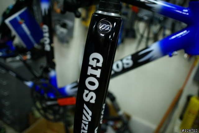 【分享開箱】純正 義大利GIOS 頂級碳纖維車-Carbon-lite