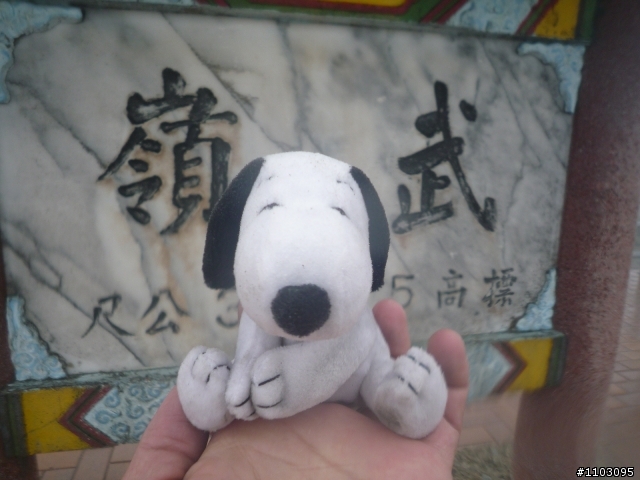 武嶺+加碼合歡山主峰自虐之Open將遊記開箱囉
