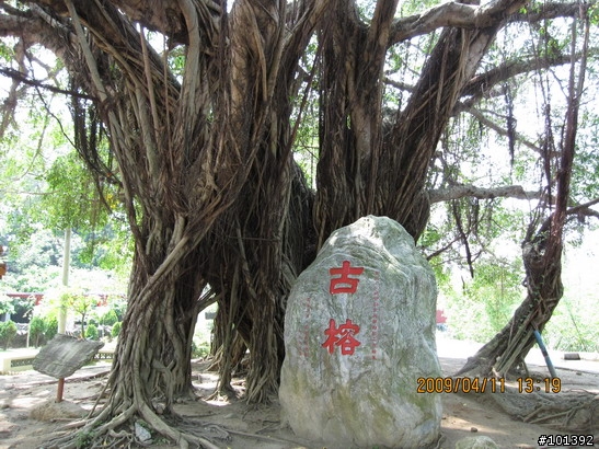20090411台中慢慢騎TCSM彰化銀行山之行