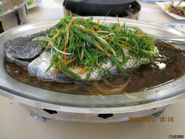 20090411台中慢慢騎TCSM彰化銀行山之行