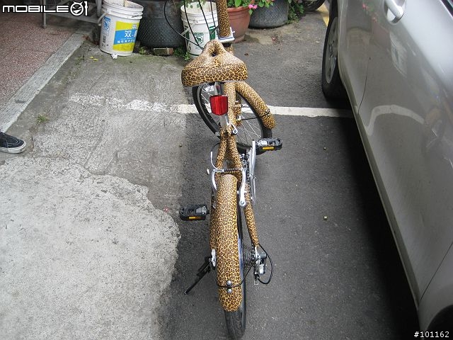 前無古人「包皮」腳踏車-4/30更新