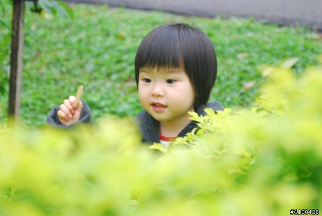The beginner of D80 and first PO photos in 01
