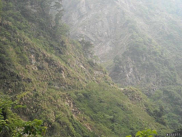 雲林草嶺~嘉義豐山 林道路線