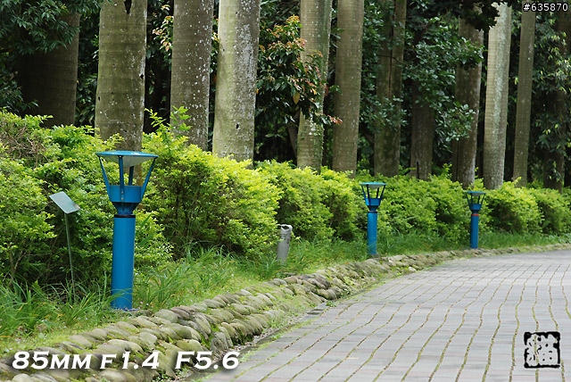 沒啥實質意義的Nikon AF 85mm f1.4以及f1.8 散景PK(85張圖)