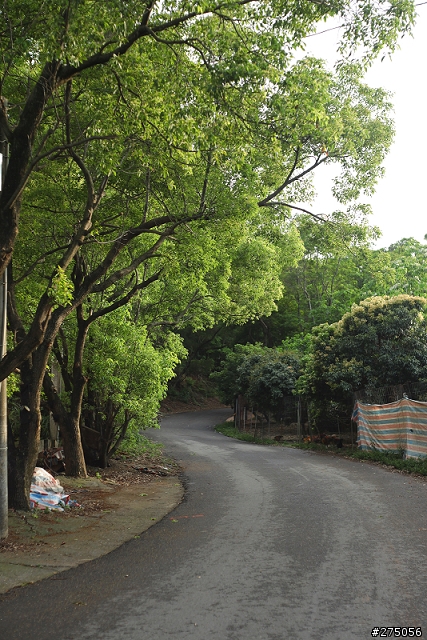 彰化-福田賞桐生態園區