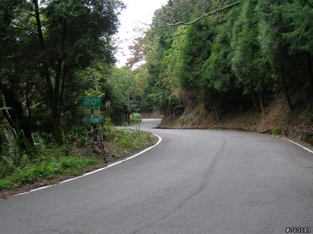 大雪山林道200線之"淋雨行"