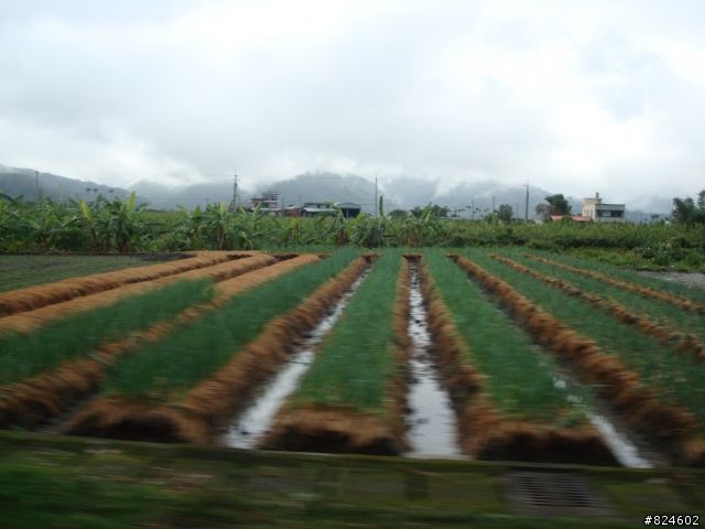 土場、太平山、翠峰湖鐵人三項遊記