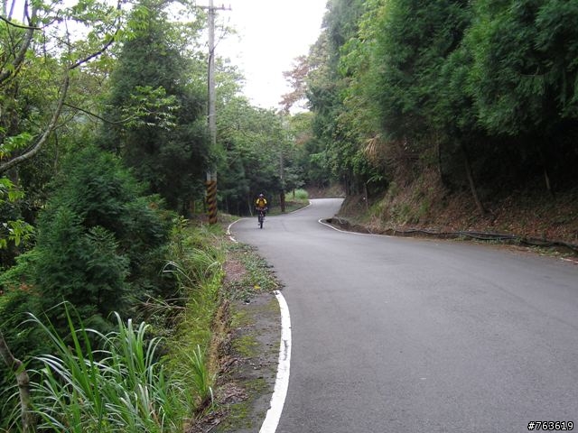 大雪山林道200線之"淋雨行"