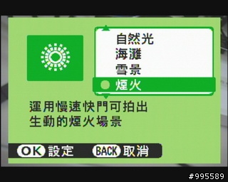 消費券有找第二彈~富士 FinePix J10