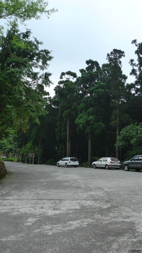 【遊記】東眼山森林遊樂區