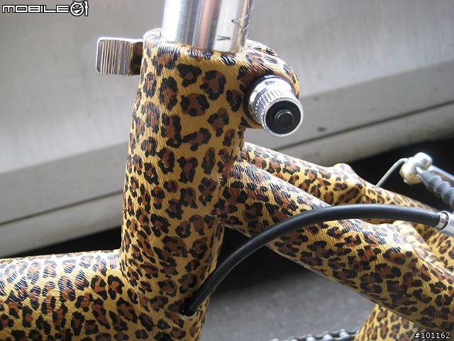 前無古人「包皮」腳踏車-4/30更新