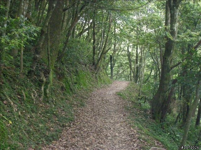 八仙橋越嶺東滿步道出滿月圓