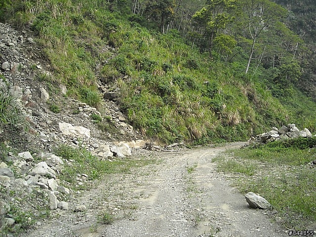 雲林草嶺~嘉義豐山 林道路線