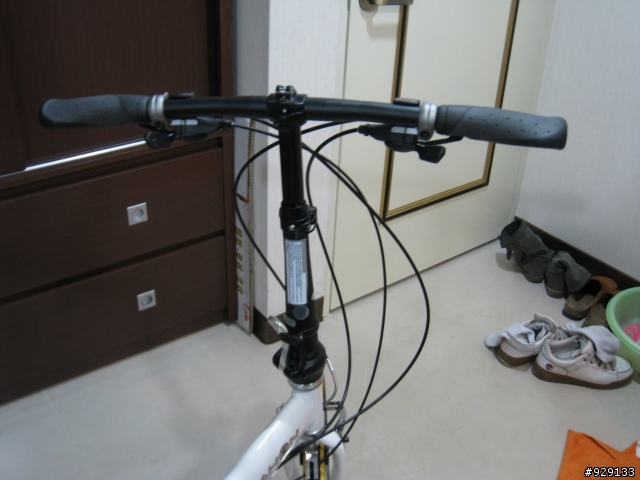 DAHON ECO3 龍頭豎管改裝 多圖 4/3號更新