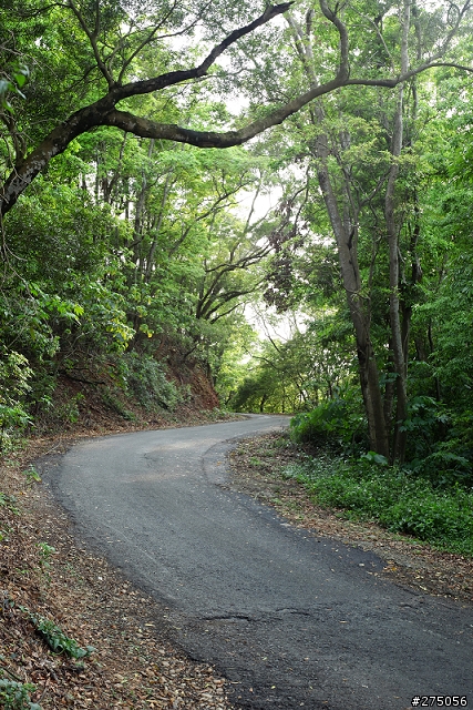 彰化-福田賞桐生態園區