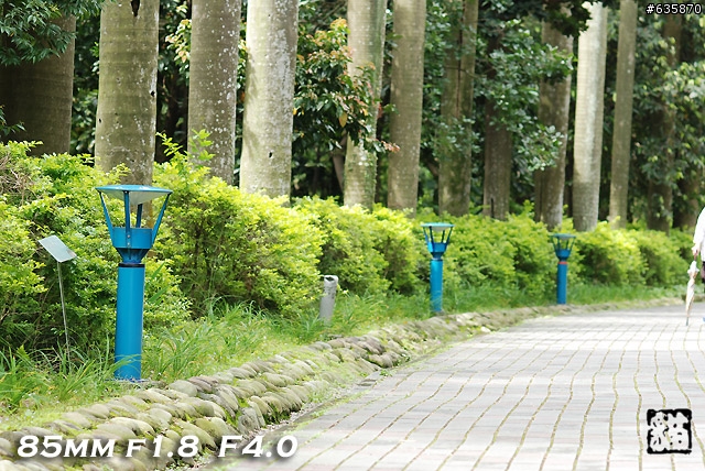 沒啥實質意義的Nikon AF 85mm f1.4以及f1.8 散景PK(85張圖)