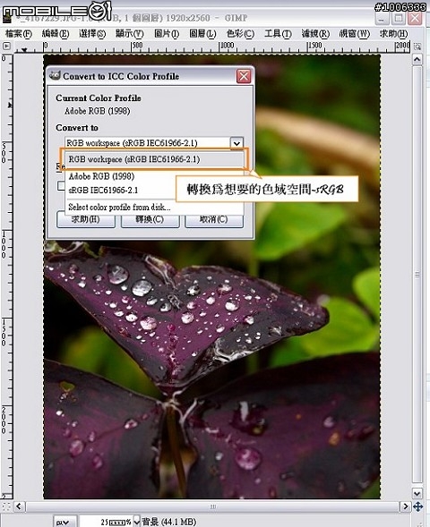 Adobe RGB 色域之O家色彩表現第一篇 如何轉換色域