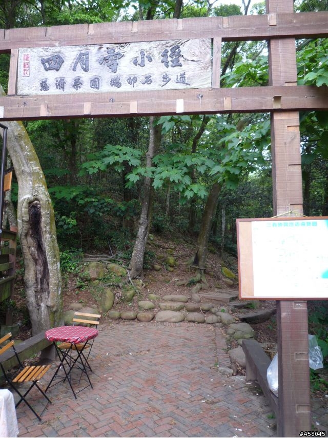 2009苗栗油桐花搶先報