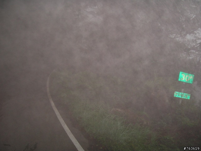 大雪山林道200線之"淋雨行"