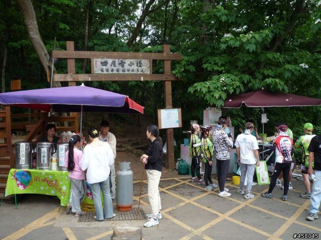 2009苗栗油桐花搶先報
