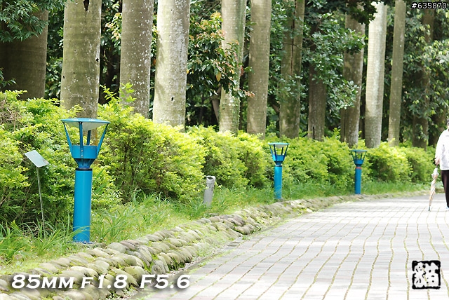 沒啥實質意義的Nikon AF 85mm f1.4以及f1.8 散景PK(85張圖)