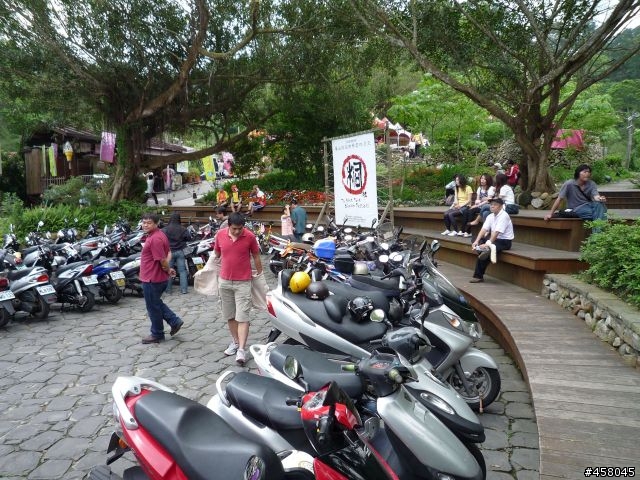 2009苗栗油桐花搶先報