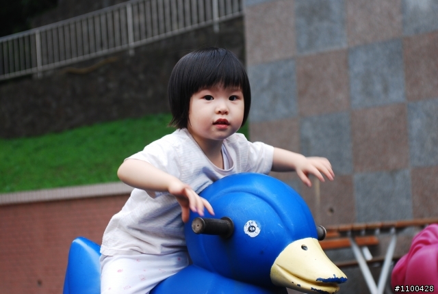 The beginner of D80 and first PO photos in 01
