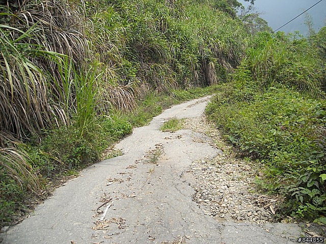 雲林草嶺~嘉義豐山 林道路線