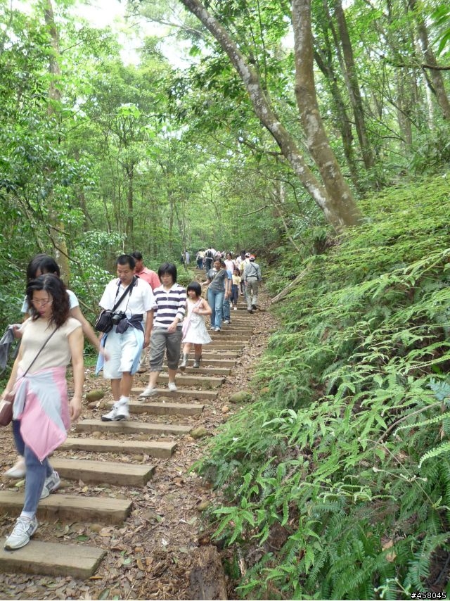 2009苗栗油桐花搶先報
