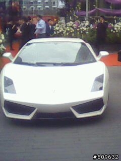 史上最熱血的餐廳開幕,竟然邀到3隻牛8匹馬