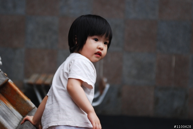 The beginner of D80 and first PO photos in 01