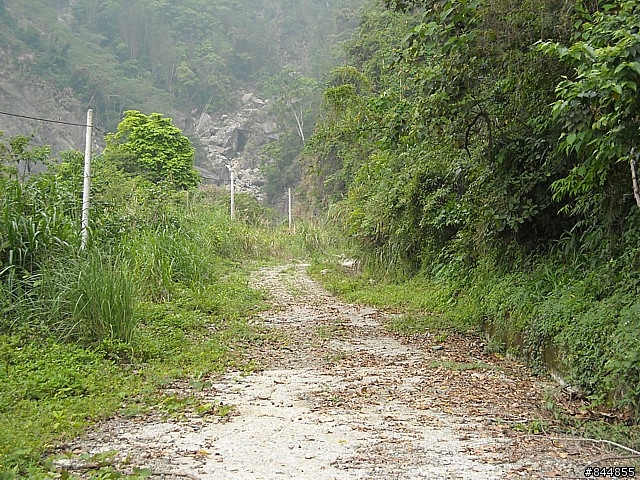 雲林草嶺~嘉義豐山 林道路線