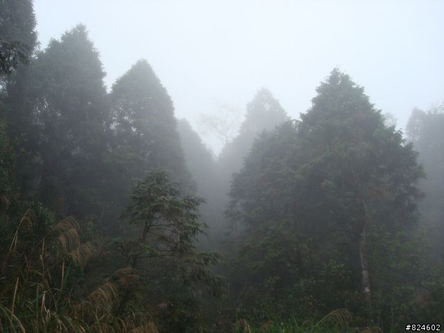 土場、太平山、翠峰湖鐵人三項遊記