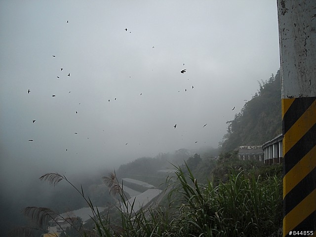 雲林草嶺~嘉義豐山 林道路線