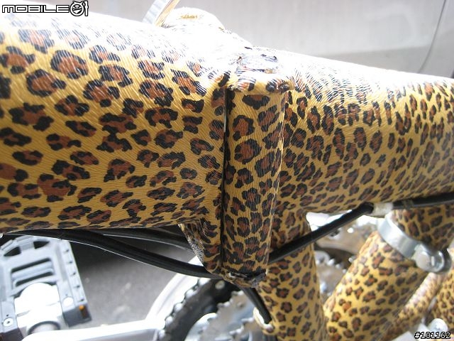 前無古人「包皮」腳踏車-4/30更新