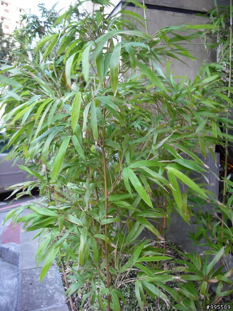 消費券有找第二彈~富士 FinePix J10