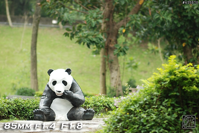 沒啥實質意義的Nikon AF 85mm f1.4以及f1.8 散景PK(85張圖)