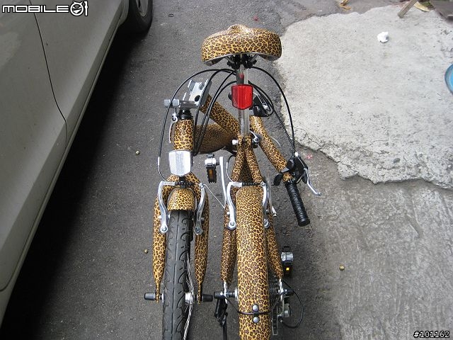 前無古人「包皮」腳踏車-4/30更新