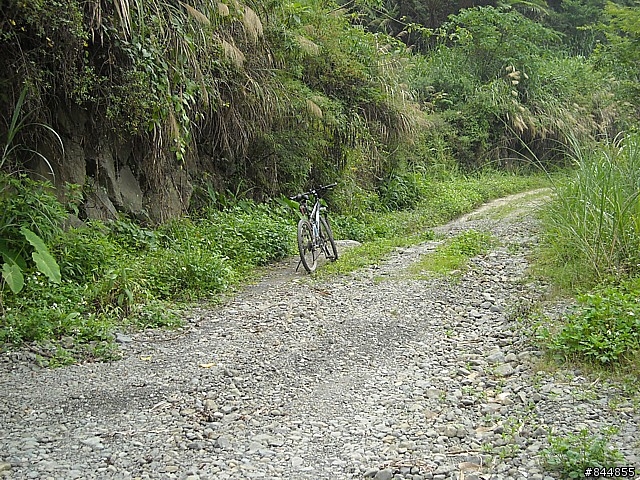 雲林草嶺~嘉義豐山 林道路線