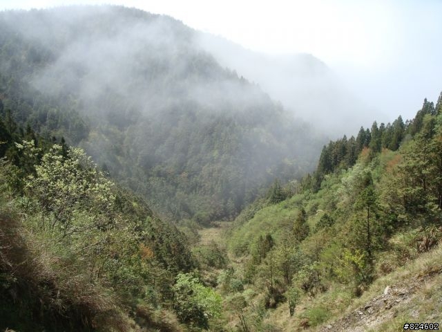 土場、太平山、翠峰湖鐵人三項遊記