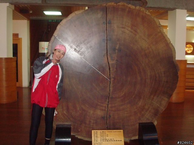土場、太平山、翠峰湖鐵人三項遊記