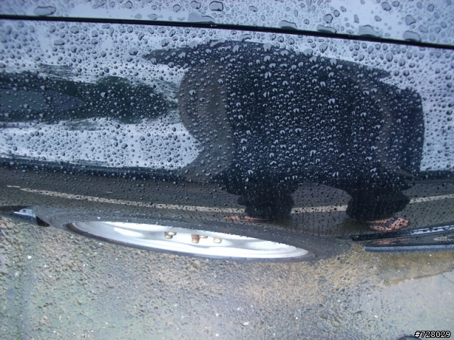 鈑金烤漆 實錄開箱文 - 全車 2009 / 04